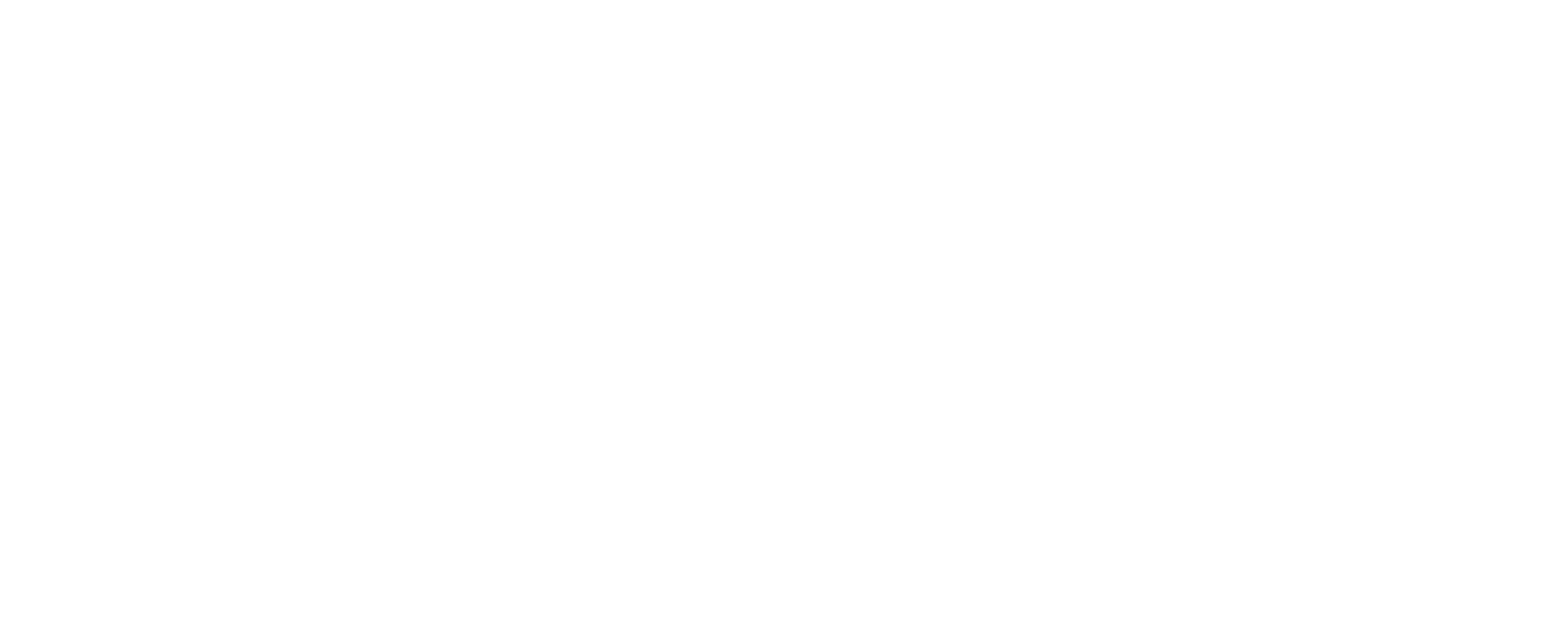 Photo Studio Fanidis & Co — Logo